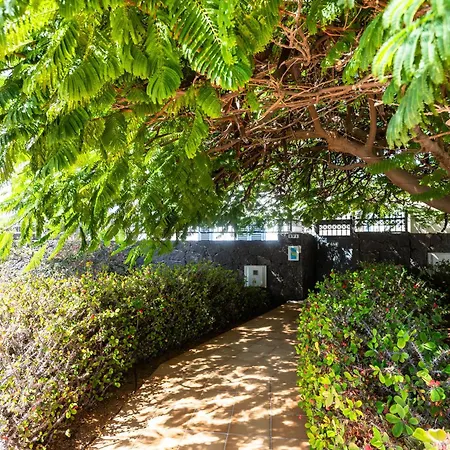 Marina Rubicon Number 1 بلايا بلانكا