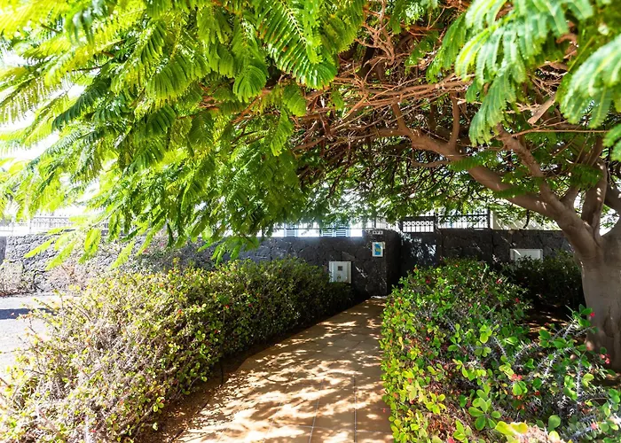 Marina Rubicon Number 1 بلايا بلانكا